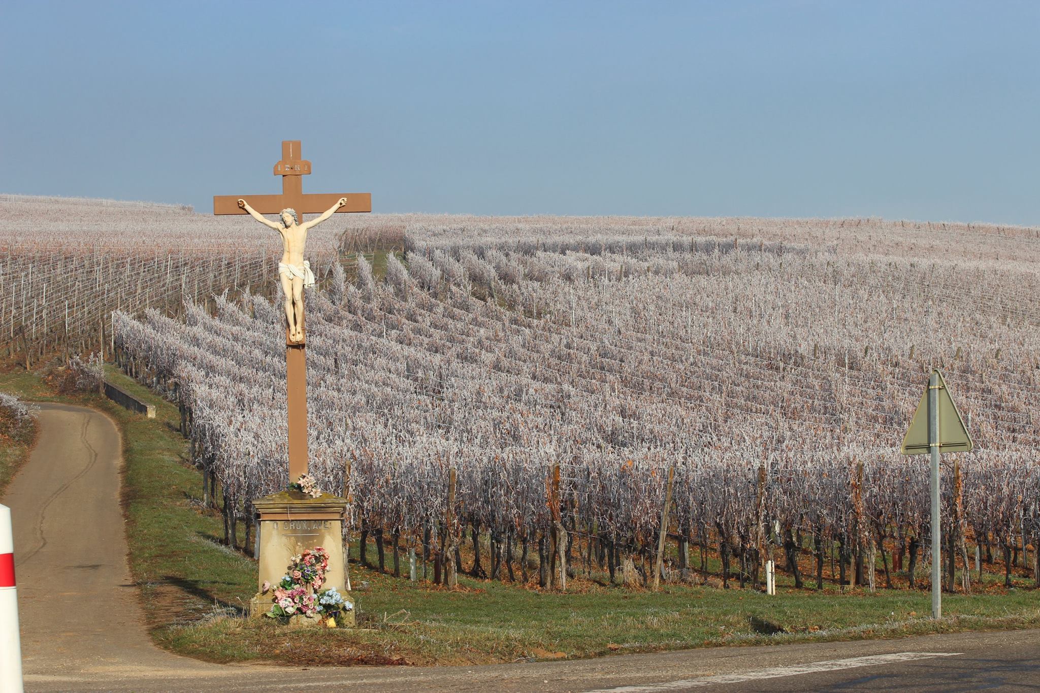 Sigolsheim
